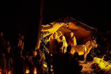 Predstava Božična noč pri Ivanovem izviru, sezona 2014-2015 49